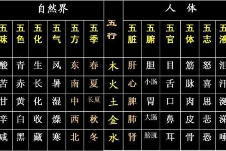 壬辰癸卯癸巳命格的奥秘与命运解析