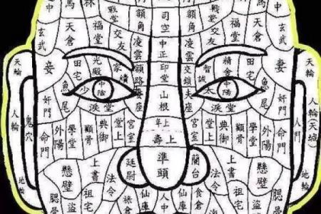 女人手上有九个斗的神秘命理与人生解析