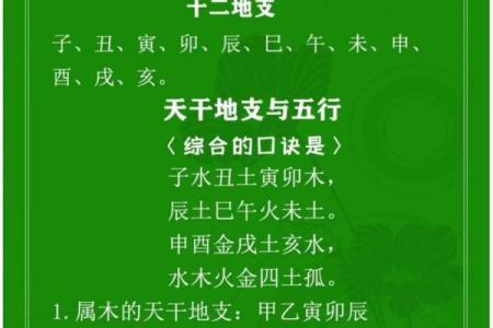 揭秘八字命理：如何通过八字看出你的命运与方向