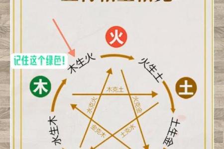 男人八个螺纹，命理玄机揭密，人生规划新视角