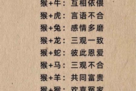 从属相看富贵夫妻：哪些生肖组合能共赢财运？