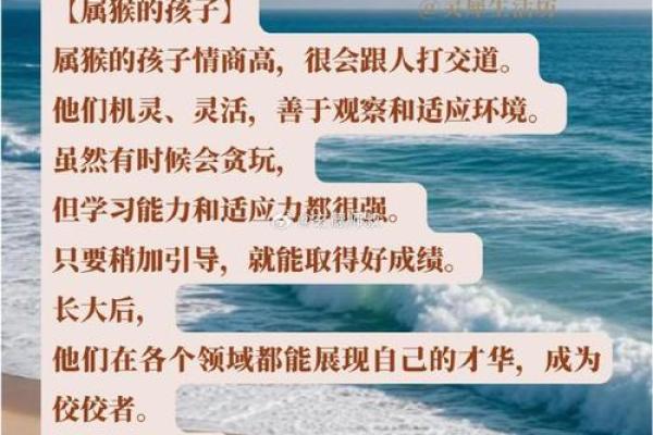 属龙11岁命理揭秘：智慧与勇气的成长之路