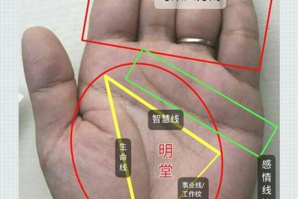 女命得旺夫发福：解读命理中的幸福密码