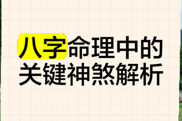 深入探秘:八字命理中哪一柱最为关键? 深入探秘:八字命理中哪一柱最为关键?