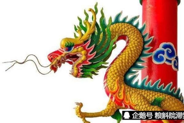 农历十月出生的龙命揭秘：智慧与魅力并存的象征