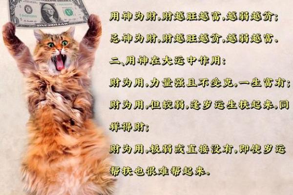 你不发财都是命，深刻解读命运与财富的关系