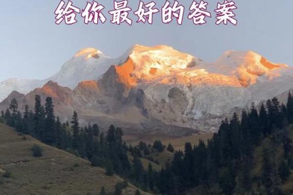 命运与努力：用心耕耘方可收获成功的智慧之道