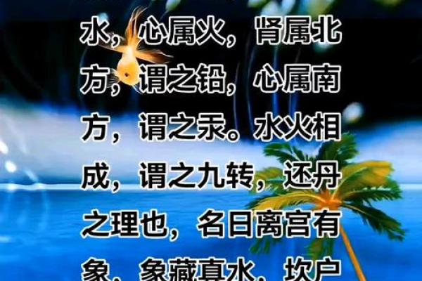 古人修身养命的智慧：寻求内心的宁静与生命的和谐