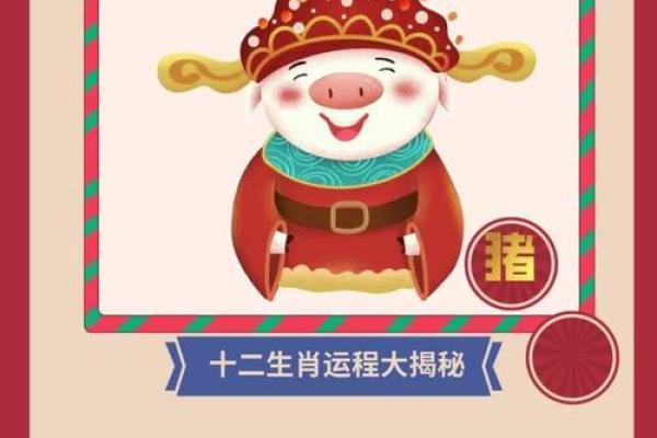 2023年：揭秘28岁属猪女性的命运与人生机遇