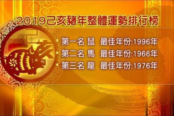 2023年：揭秘28岁属猪女性的命运与人生机遇