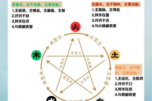 解密五行中的木：八种命格的独特魅力与个性分析