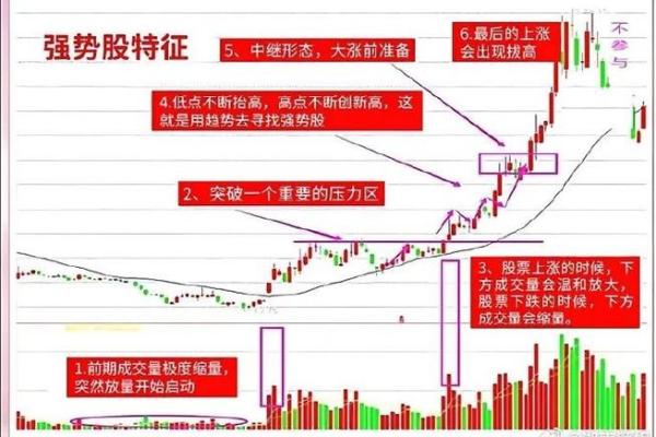 适合全职炒股的命,掌握这些要素助你致富 适合全职炒股的命,掌握这些要素助你致富