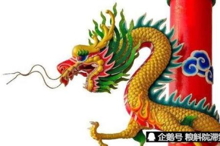 农历十月出生的龙命揭秘：智慧与魅力并存的象征