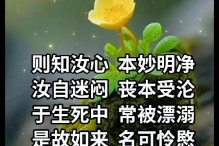 敬畏神命：追寻人生的真谛与力量