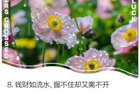 命运而非他人，才是真正的财富与希望