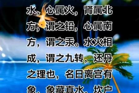 古人修身养命的智慧：寻求内心的宁静与生命的和谐