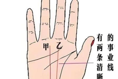 从手相看事业运，哪些命格更具潜力？