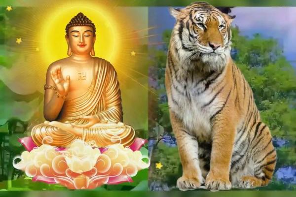 属虎人在农历三月的命理解析与人生启示 属虎人在农历三月的命理解析与人生启示