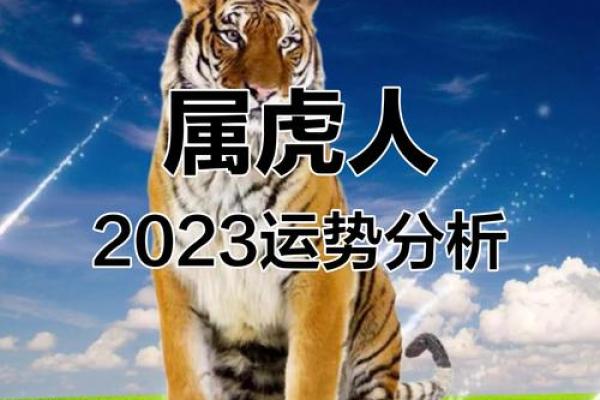 属虎人在农历三月的命理解析与人生启示 属虎人在农历三月的命理解析与人生启示