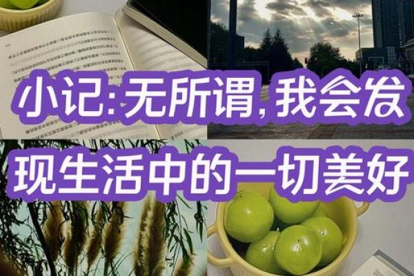 平凡如命的命格：探寻生活中的点滴美好与意义