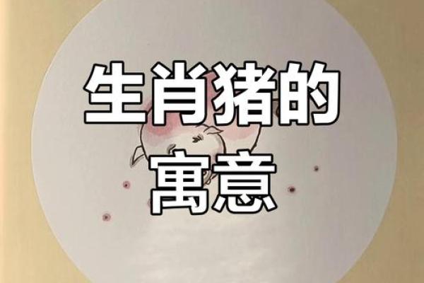 什么形状的猪最有福命？探索猪的形态背后的财富哲学