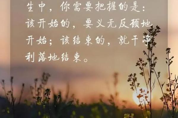 生活的酸甜苦辣：从同事的命运看人生的真谛