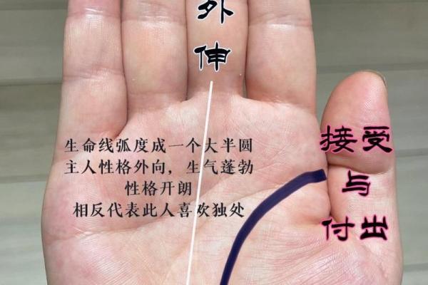 手纹解析:第三条线揭示你的命运与性格特点 手纹解析:第三条线揭示你的命运与性格特点