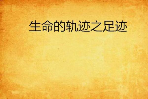 命运的指引：从纳音论命看你的生命轨迹与发展