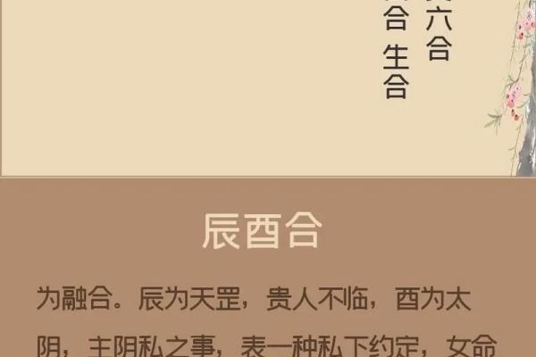 属鸡土命与哪些命相合，让你在生活中受益匪浅！