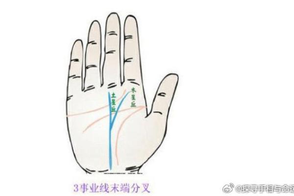 手相公印纹解析:揭示人生轨迹与命运的秘密 手相公印纹解析:揭示人生轨迹与命运的秘密