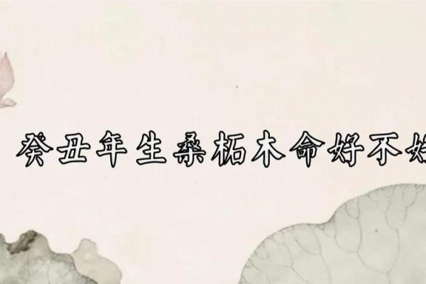 桑柘木命与财运：最合财的命理搭配解析