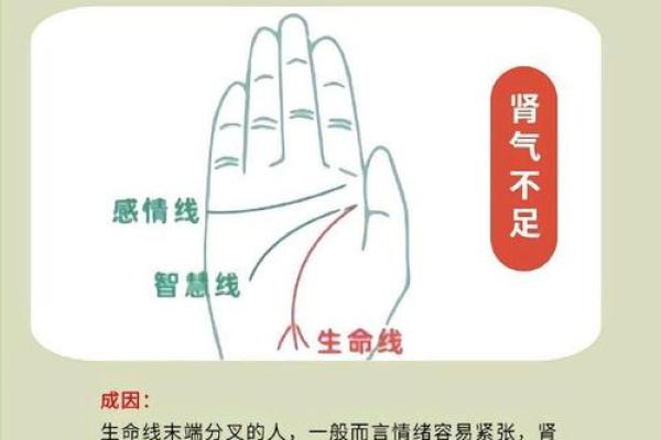 手相解密:看掌中线纹,读懂你的命运奇迹! 手相解密:看掌中线纹,读懂你的命运奇迹!