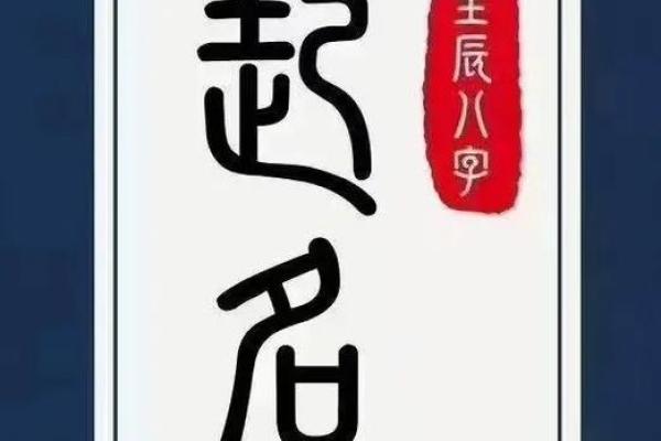 从木鼠命看最佳搭配：与哪些命相得益彰？