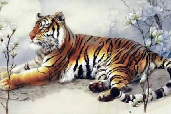 属虎的人在2023年10月23日的运势分析与生活命理探讨