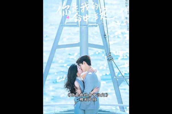 命中注定：如何发现与践行你的生命使命