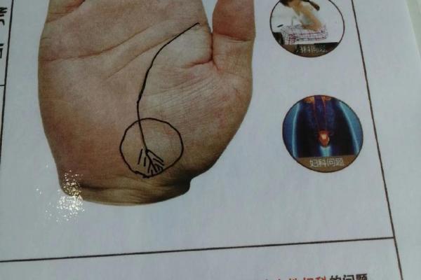 女生看手相，揭示命运之谜，探索内心的秘密！