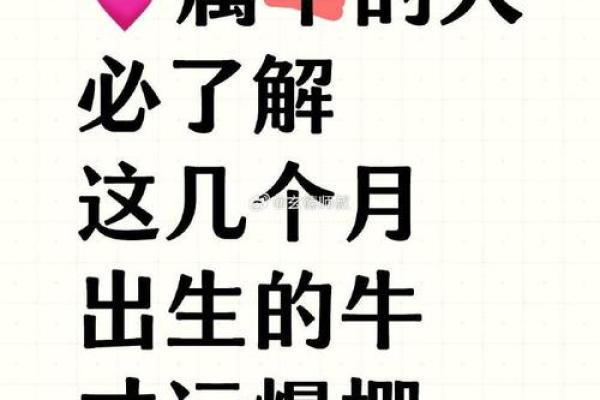 属牛男人的命格解析：哪种命格最适合他们的人生道路？