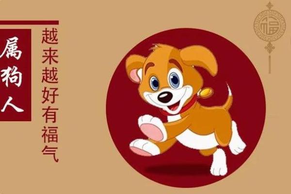 属狗农历一月出生的命运解析：守护忠诚与智慧的旅程