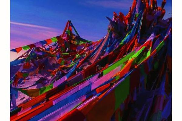 命维新：探索生活中的变化与成长之道