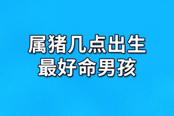 解析平地木命属猪：四季轮转中的智慧与韧性