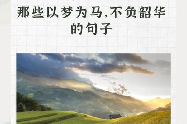 穷人的命:生活的艰辛与奋斗的意义 穷人的命:生活的艰辛与奋斗的意义