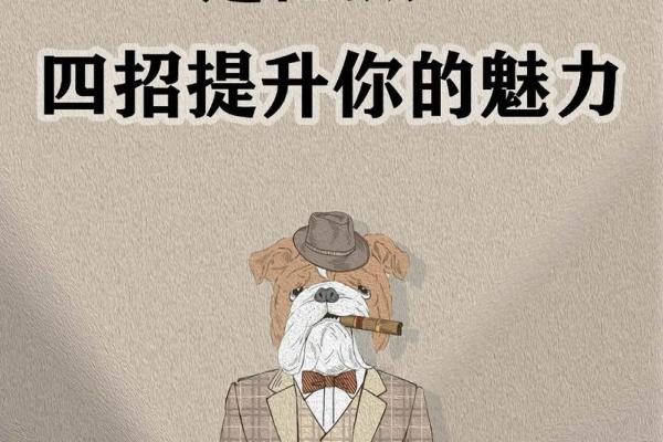 视你如命的人背后的心理揭秘:爱的真谛与内心的脆弱 视你如命的人背后的心理揭秘:爱的真谛与内心的脆弱