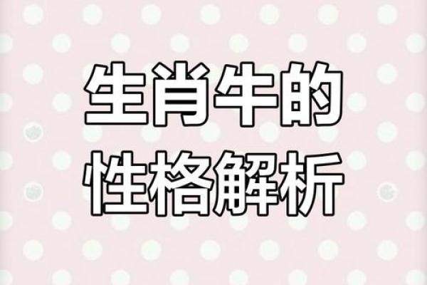 属牛之人：20点出生的命理分析与生活智慧