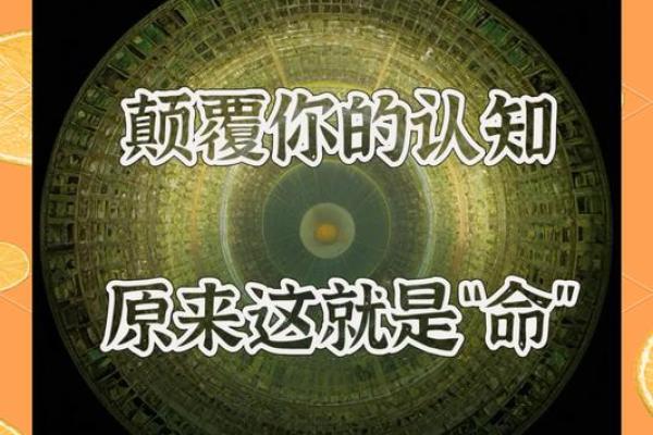 审命记:探索生命的智慧与命运的奥秘 审命记:探索生命的智慧与命运的奥秘