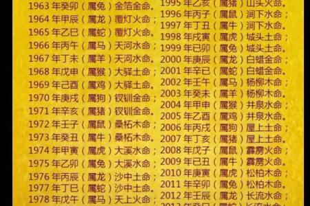 属狗火命与哪个命更合拍？探索命理中的深层联系与和谐组合