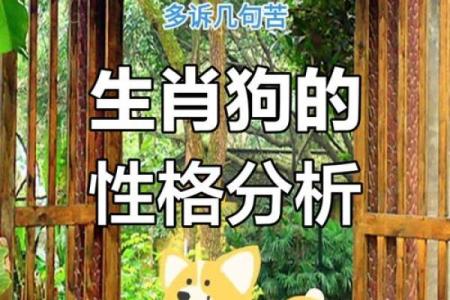 属狗11月出生之人的命运与性格解析