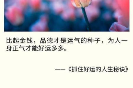 洁白牙齿，吸引好运：走近牙齿白的人生哲学与命运解析