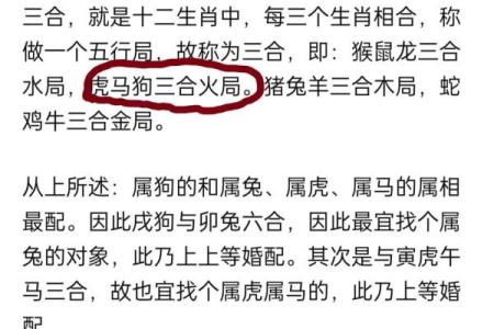 属马命里缺水，选择养乌龟的最佳指南