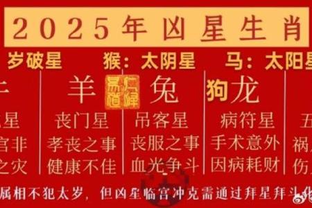 吉星入命：男孩出生的幸福密码与命运运势探秘