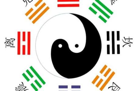 壬亥玄武命局：解密命理中的神秘力量与人生启示